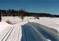 Schneeflockenzauber im Schwarzwassertal
Winter Urlaub in Pobershau